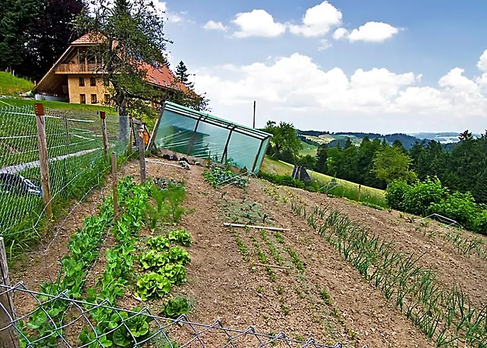 Daire Egggraben By Interhome *